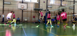 Forrás: fehervarvolley.hu