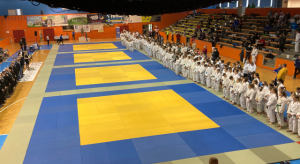 Forrás: judoinfo.hu