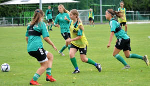 Az U17-esek a spanyolokkal, az U19-esek az olaszokkal is találkoznak tavasszal Forrás: mlsz.hu