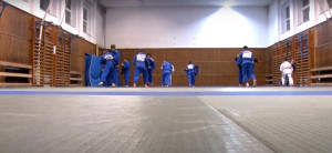 judo